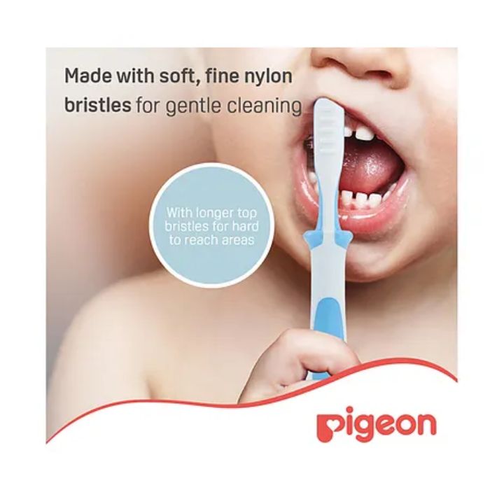 Pigeon Training Toothbrush Lesson 3 Blue