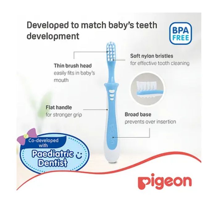 Pigeon Training Toothbrush Lesson 3 Blue