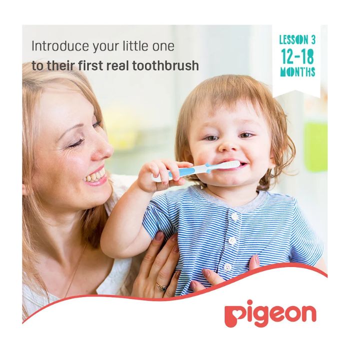 Pigeon Training Toothbrush Lesson 3 Blue