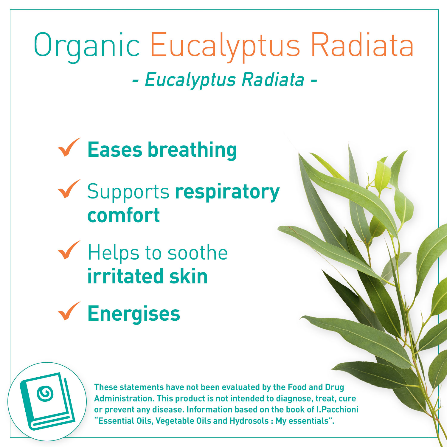 Puressentiel Organic Essential Oil Eucalyptus Radiata 10ml