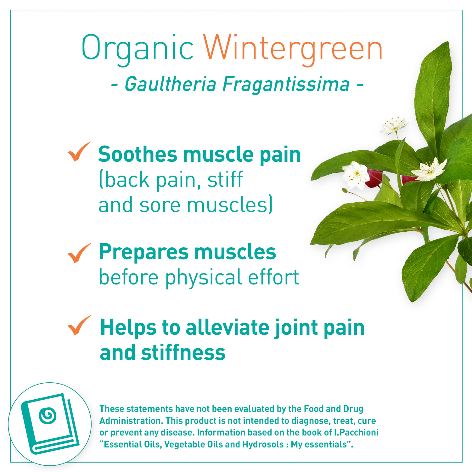 Puressentiel Organic Essential Oil Wintergreen 10ml