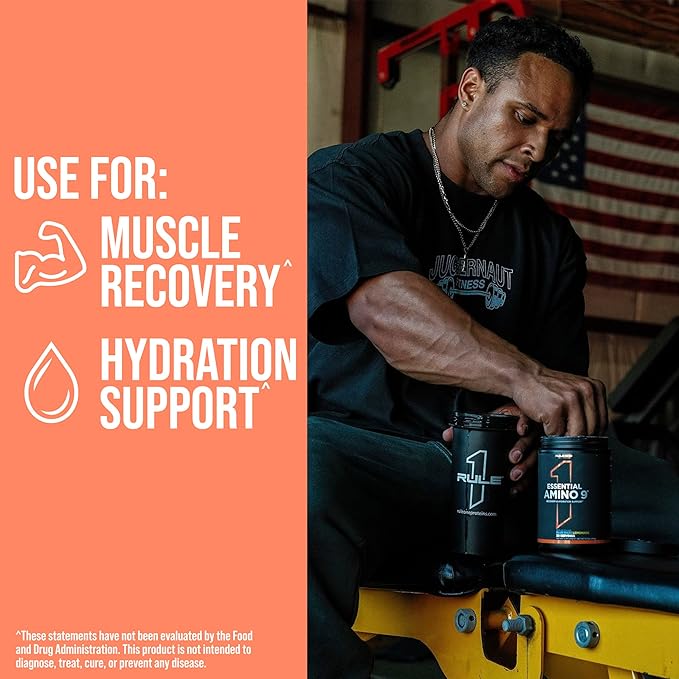 Rule 1 Essential Amino 9 Fruit Punch 315 g