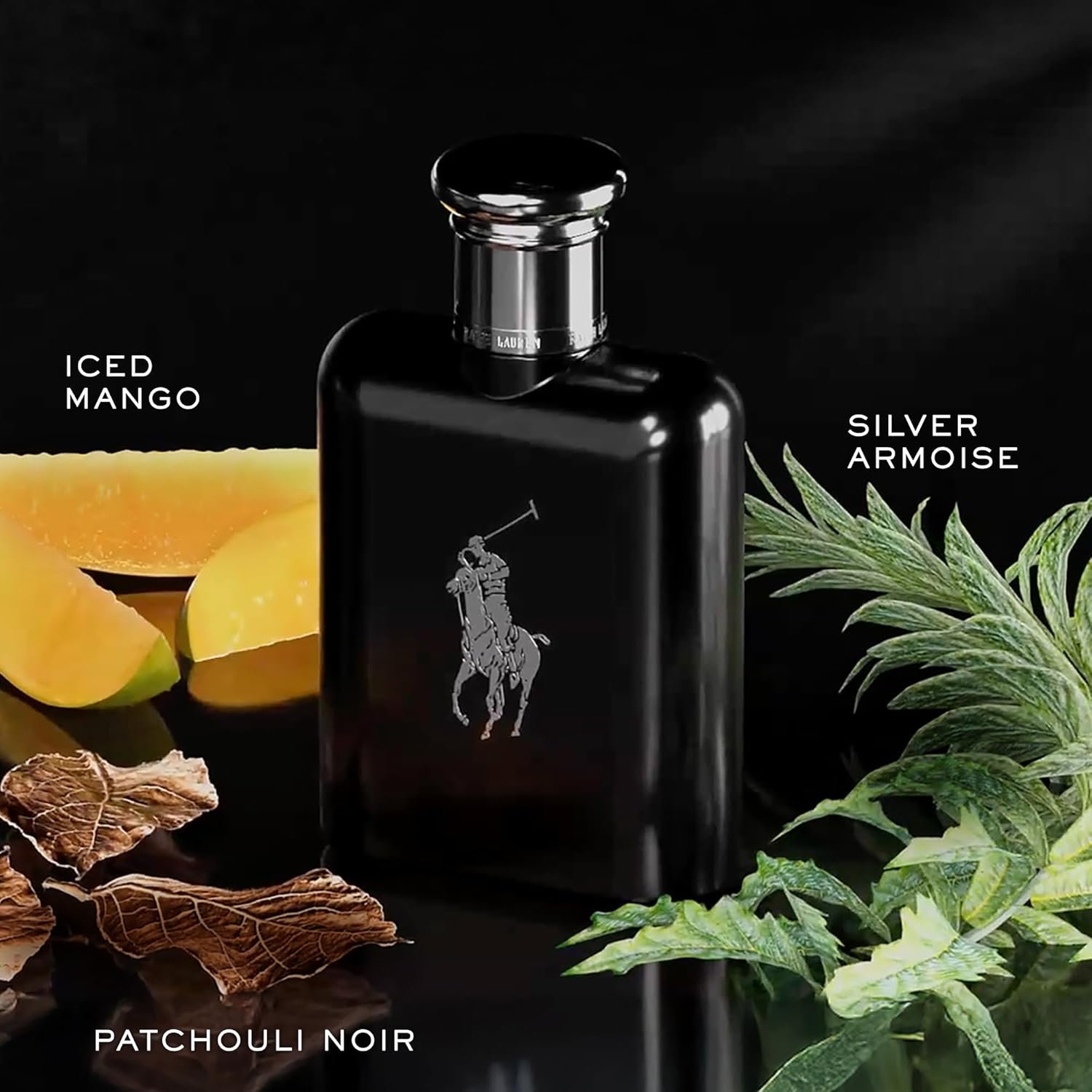 Ralph Lauren Polo Black EDT Spray 75ml