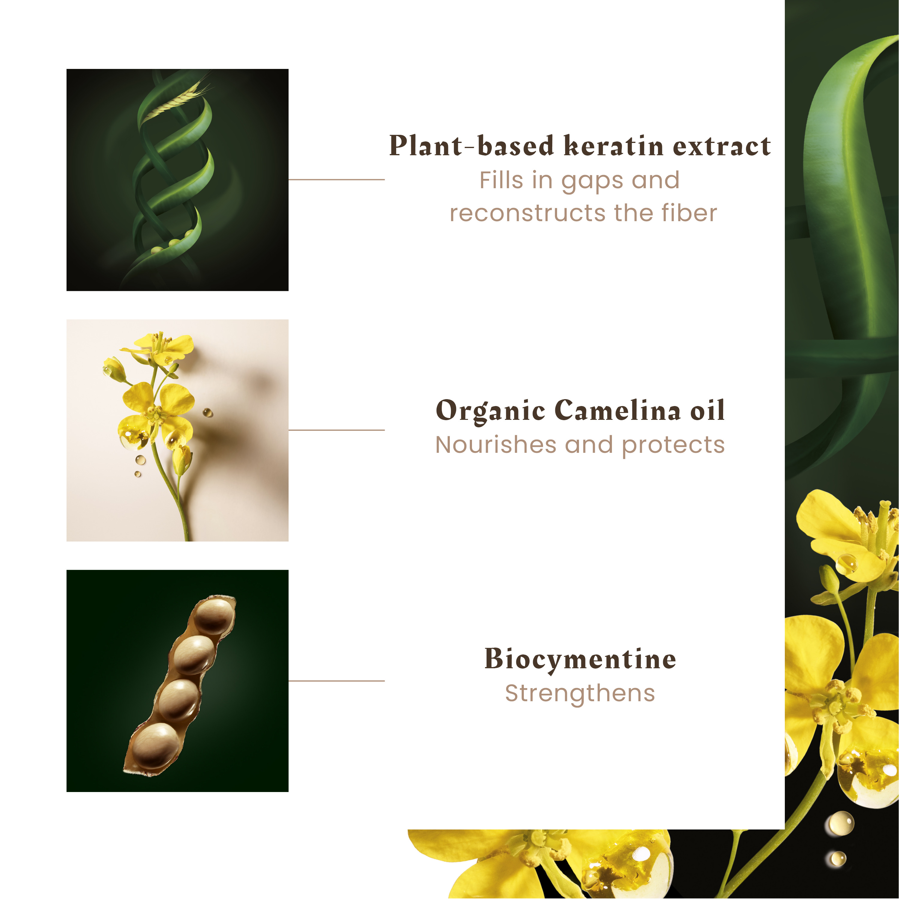 Rene Furterer Absolue Keratine Renewal Shampoo - Repairing Shampoo for Extremely Damaged or Over-Processed Hair 200ml