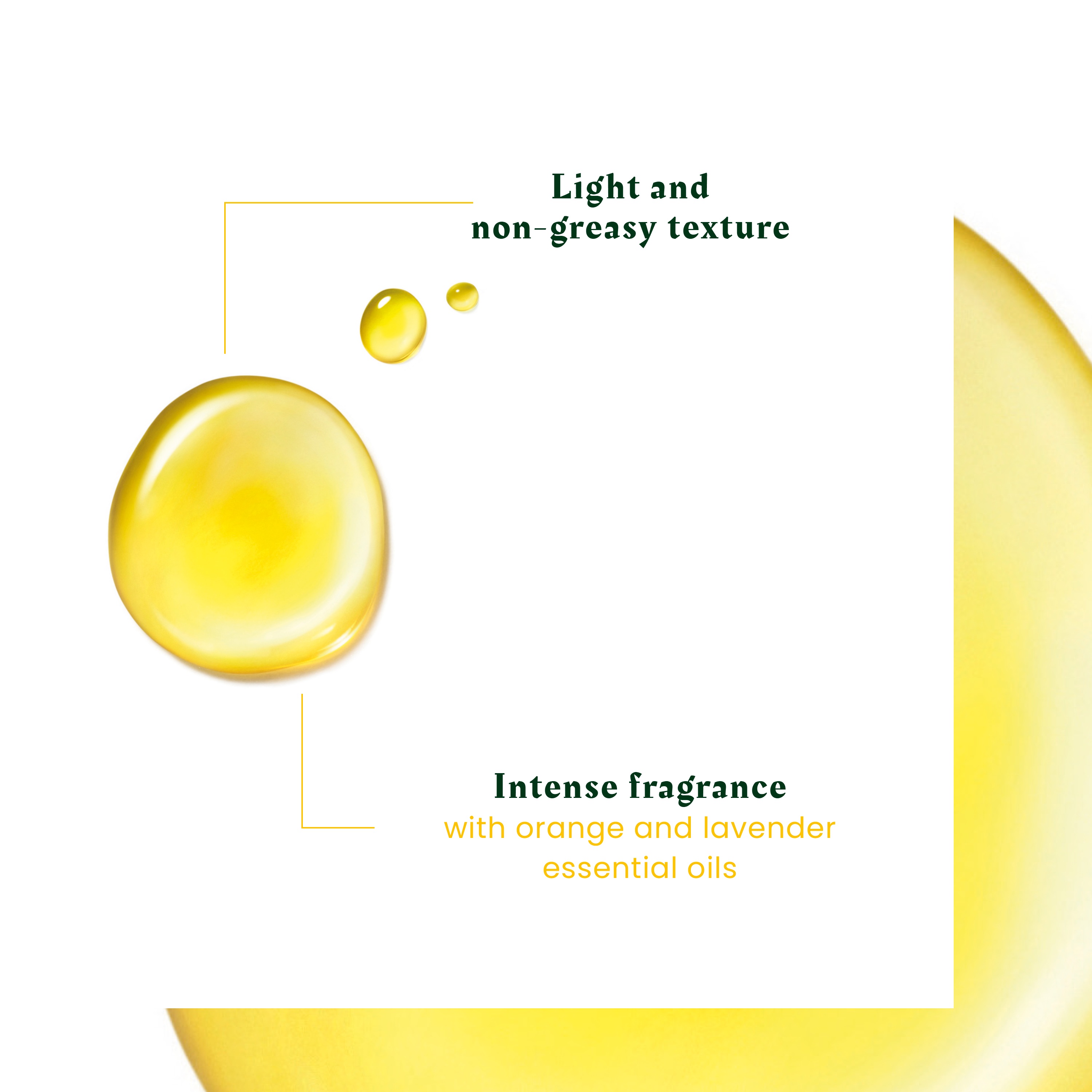 ريني فورترير كومبليكس 5 مركز سبا الرأس، زيت ديتوكس وتقوية فروة الرأس مع الزيوت الأساسية 50 مل