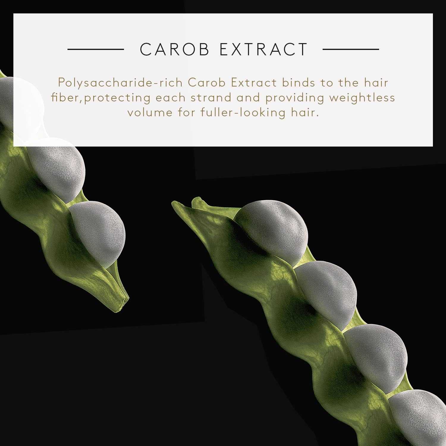 Rene Furterer Volumea Volume Conditioner- Lightweight Volumizing Conditioner for Fine, Limp Hair with Natural Body 150ml