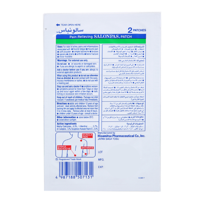 Salonpas Patch Large 13 X 8.4 cm