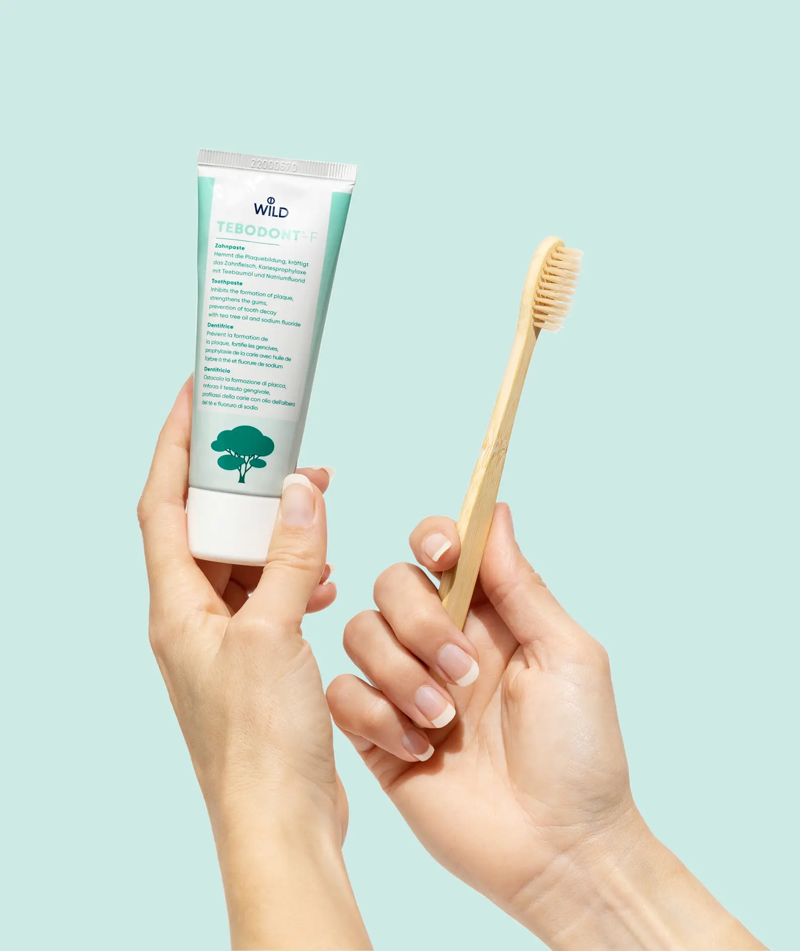 Tebodont F Toothpaste – Herbal Fluoride Toothpaste with Tea Tree Oil for Gum Health & Cavity Protection 75ml