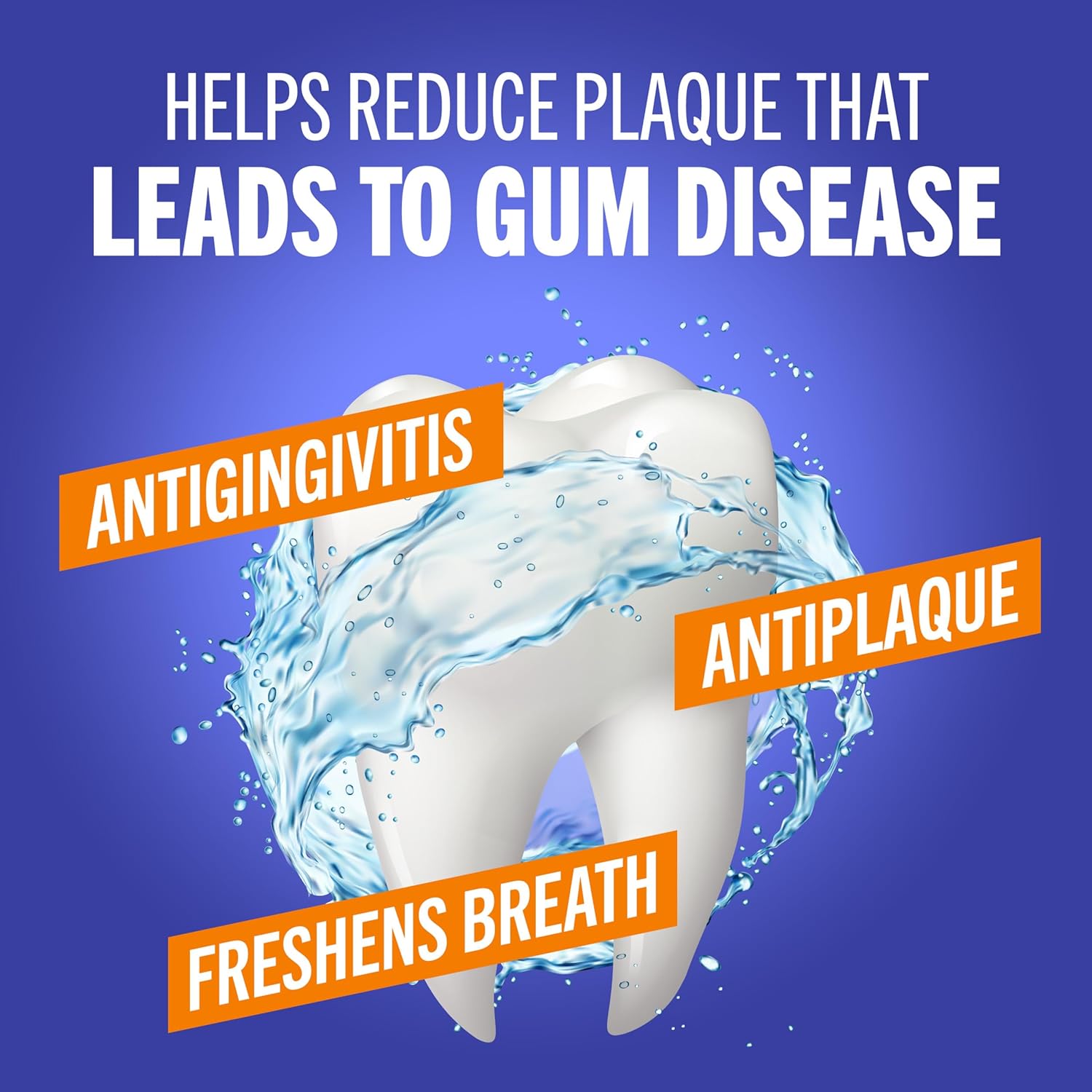 TheraBreath Healthy Gums Oral Rinse Clean Mint 16oz