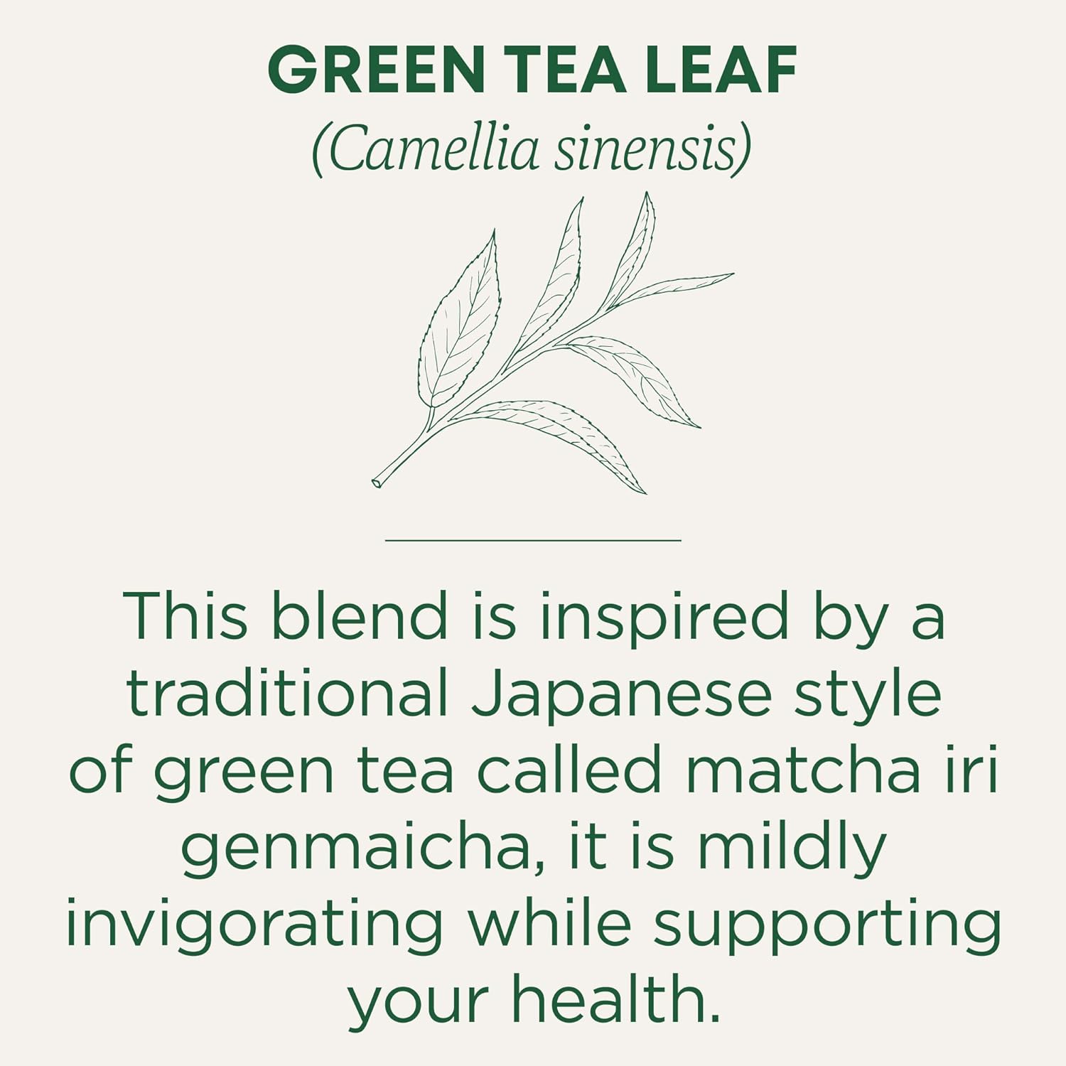 Traditional Medicinals Organic Green Tea Matcha Toasted Rice Tea Bag 16s