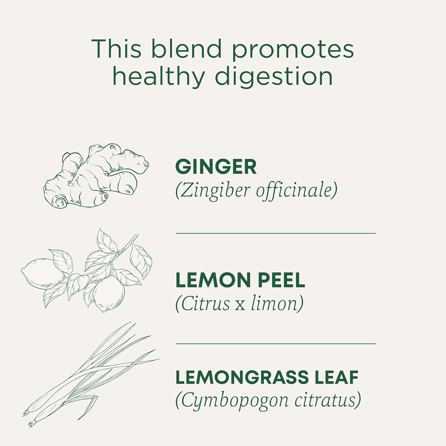 Traditional Medicinals Organic Lemon Ginger Digestion Support Tea Bag 16s