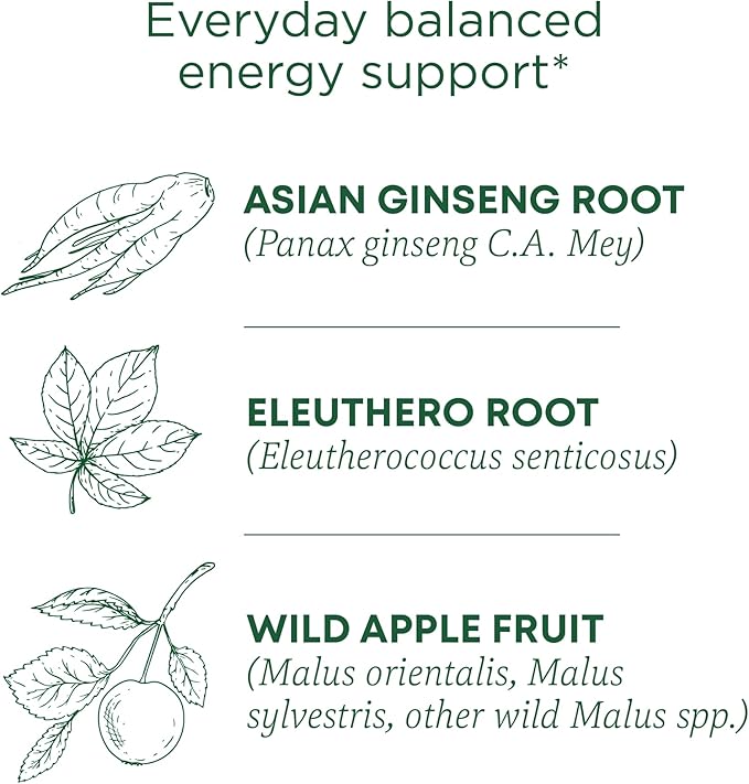 Traditional Medicinals Organic Stress Ease Focus Ginseng Apple Tea Bag 16s