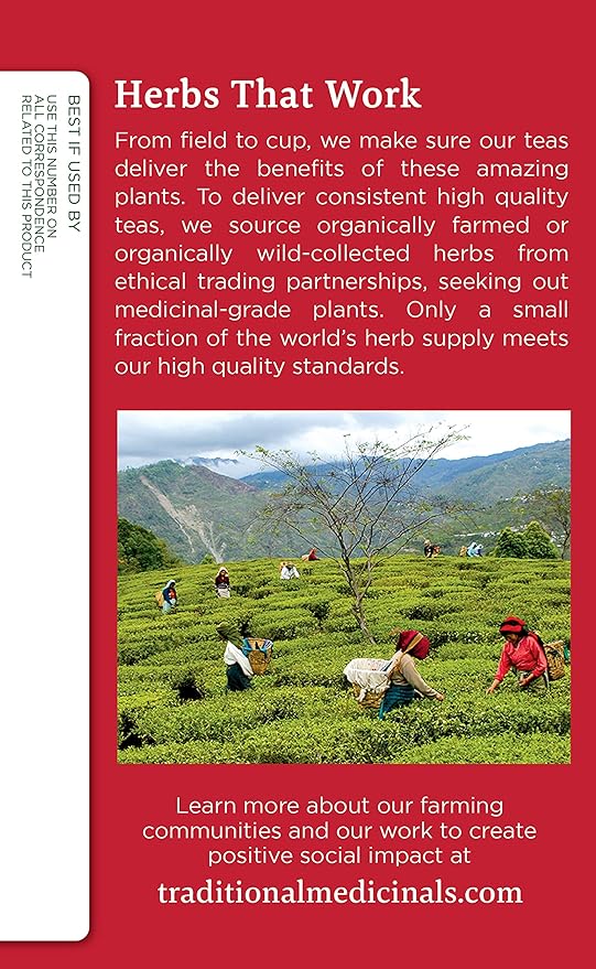 Traditional Medicinals Echinacea Plus 16 Tea Bags