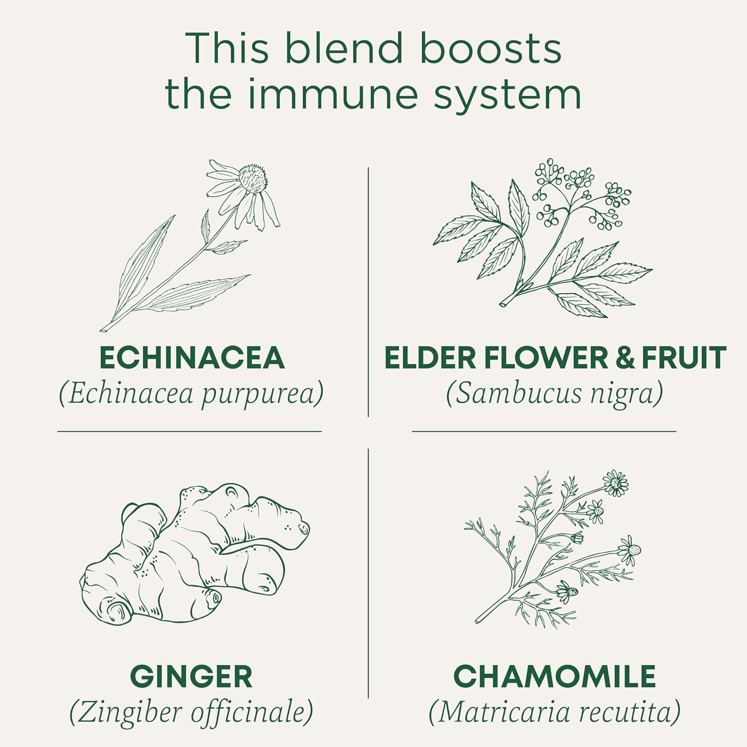Traditional Medicinals Echinacea Plus Elderberry 16 Tea Bags