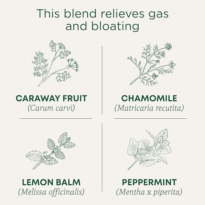 Traditional Medicinals Gas Relief 16 Tea Bags