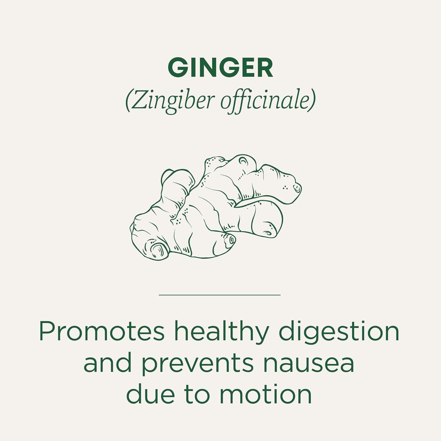 Traditional Medicinals Ginger 16 Tea Bags