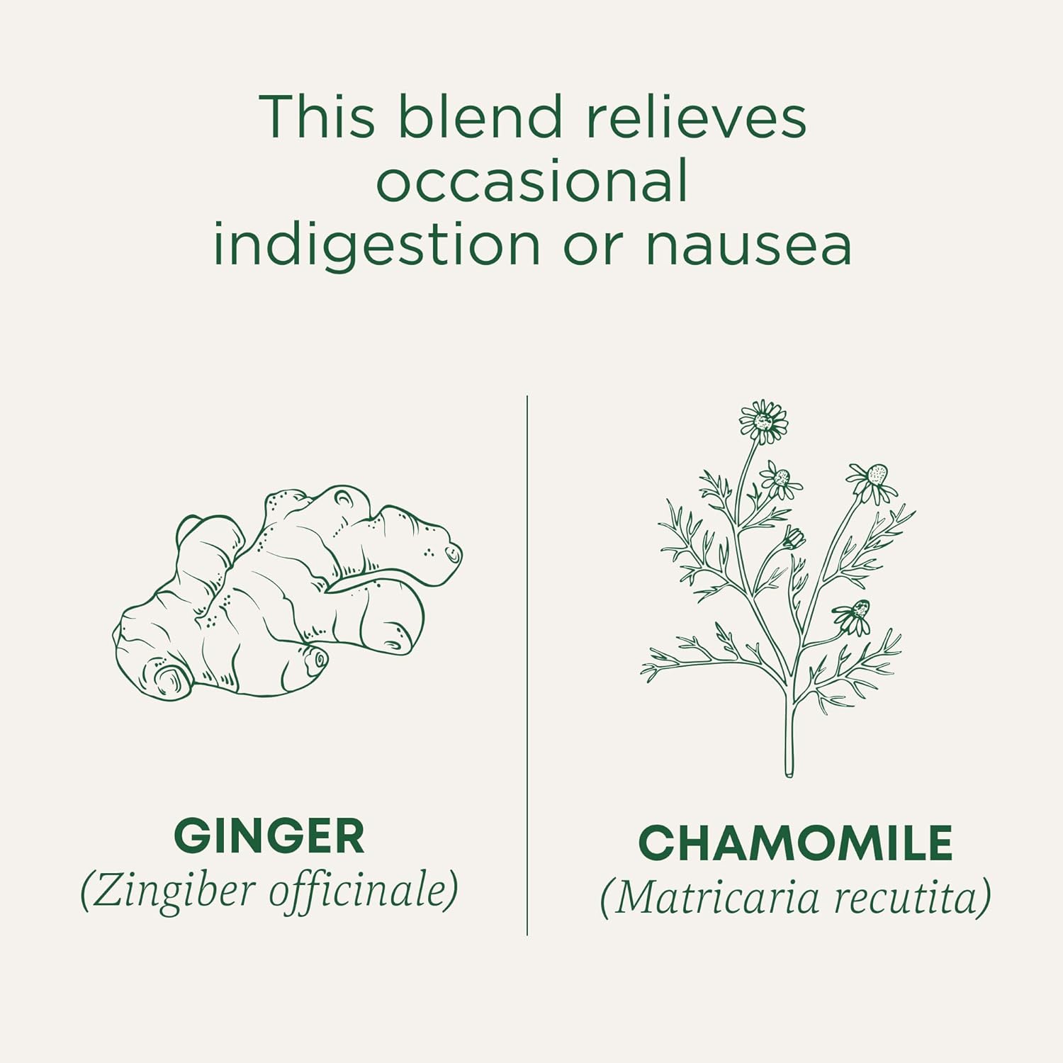Traditional Medicinals Golden Ginger With Chamomile 16 Tea Bags