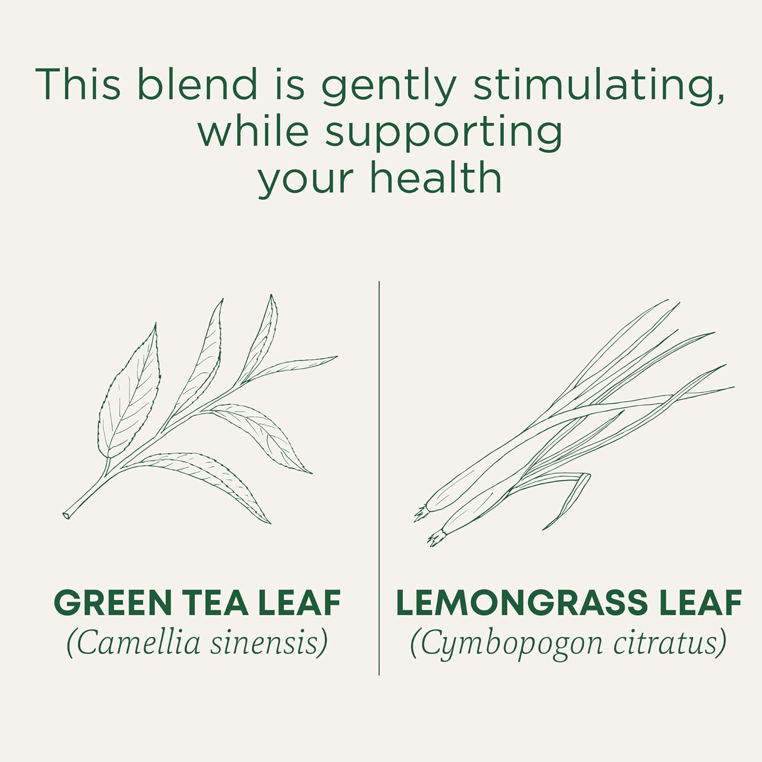 Traditional Medicinals Green Tea Lemongrass 16 Tea Bags