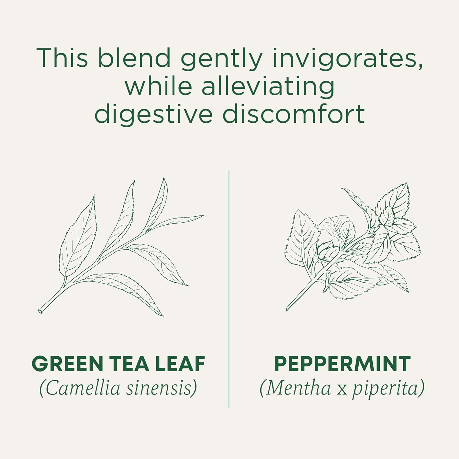 Traditional Medicinal Green Tea Peppermint 16 Tea Bags