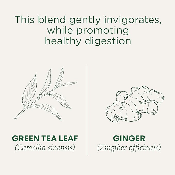 Traditional Medicinal Green Tea With Ginger 16 Tea Bags