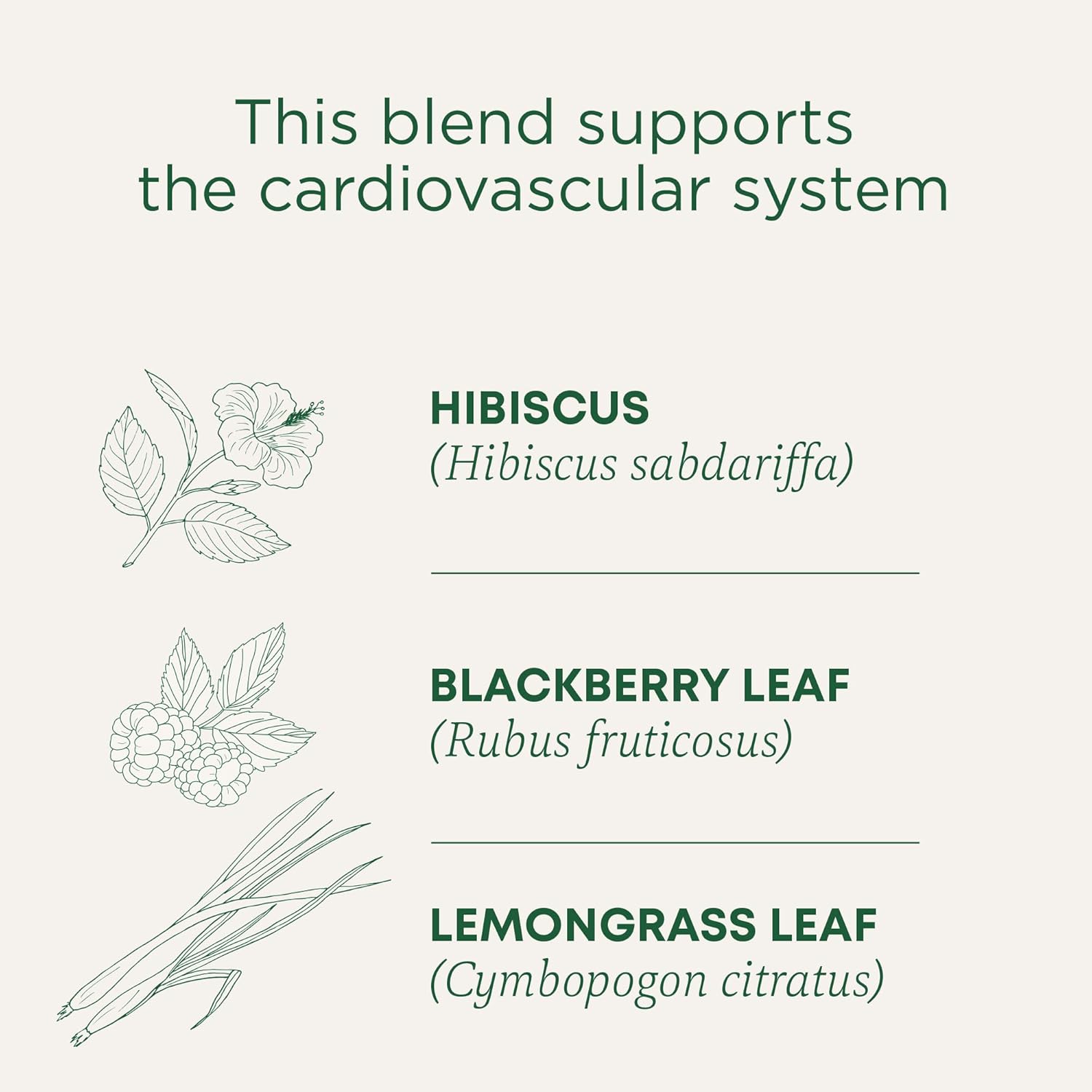Traditional Medicinals Hibiscus 16 Tea Bags