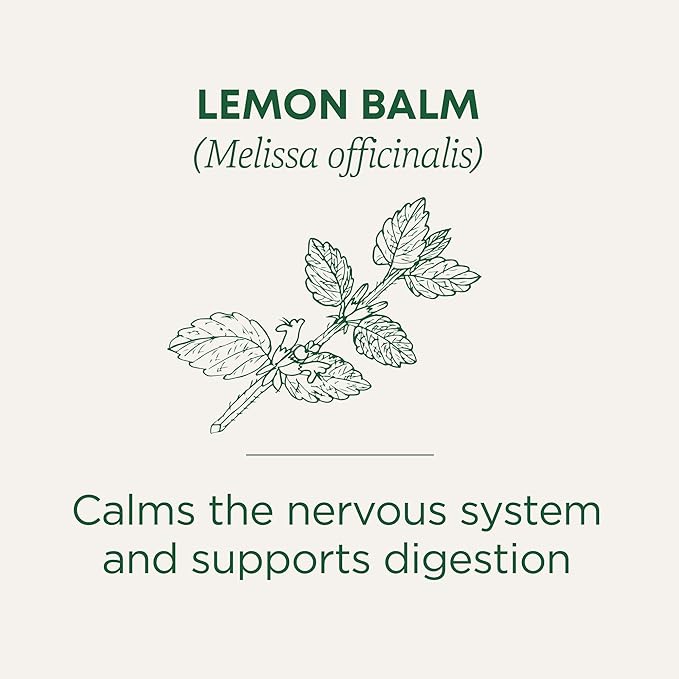 Traditional Medicinals Lemon Balm 16 Tea Bags