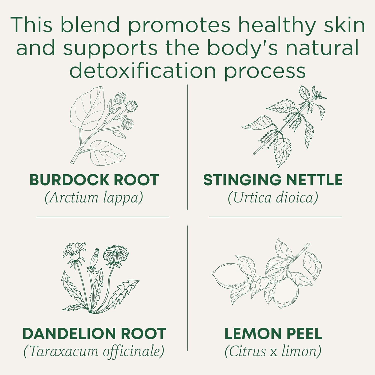 Traditional Medicinals Lemon Everyday Detox 16 Tea Bags