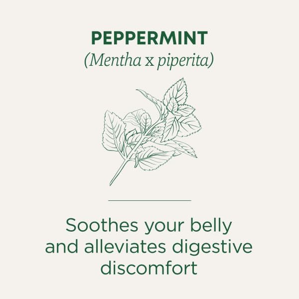 Traditional Medicinals Peppermint 16 Tea Bags