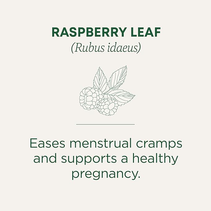 Traditional Medicinals Raspberry Leaf 16 Tea Bags