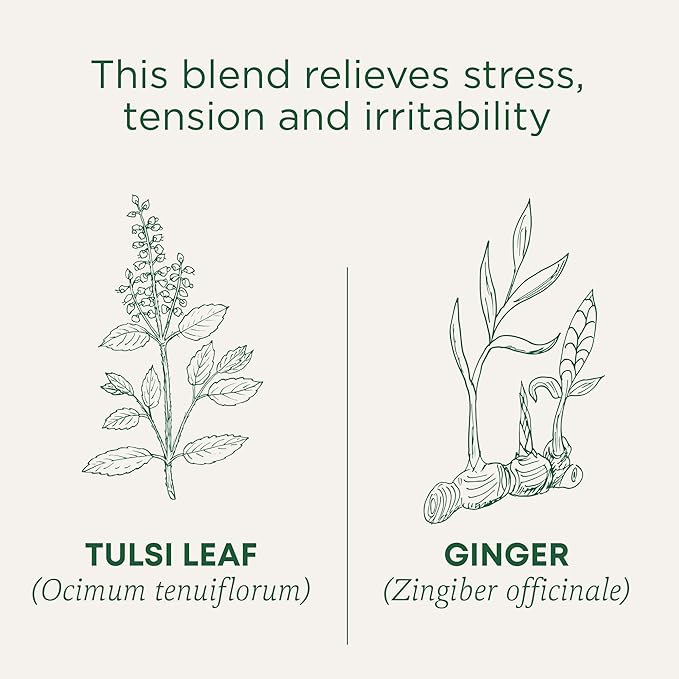 Traditional Medicinals Tulsi With Ginger 16 Tea Bags