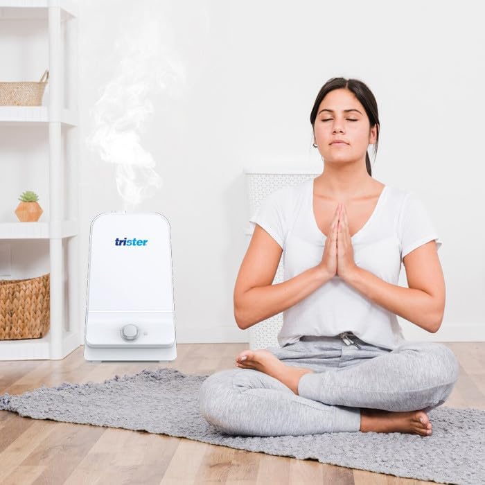 Trister Ultrasonic Cool Mist Humidifier 6L TS 156H6